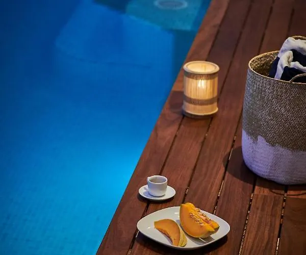 Nika With Private Heated Pool 别墅